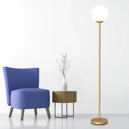 Globe Lamp Cover Floor Lamp with Acrylic Lampshade